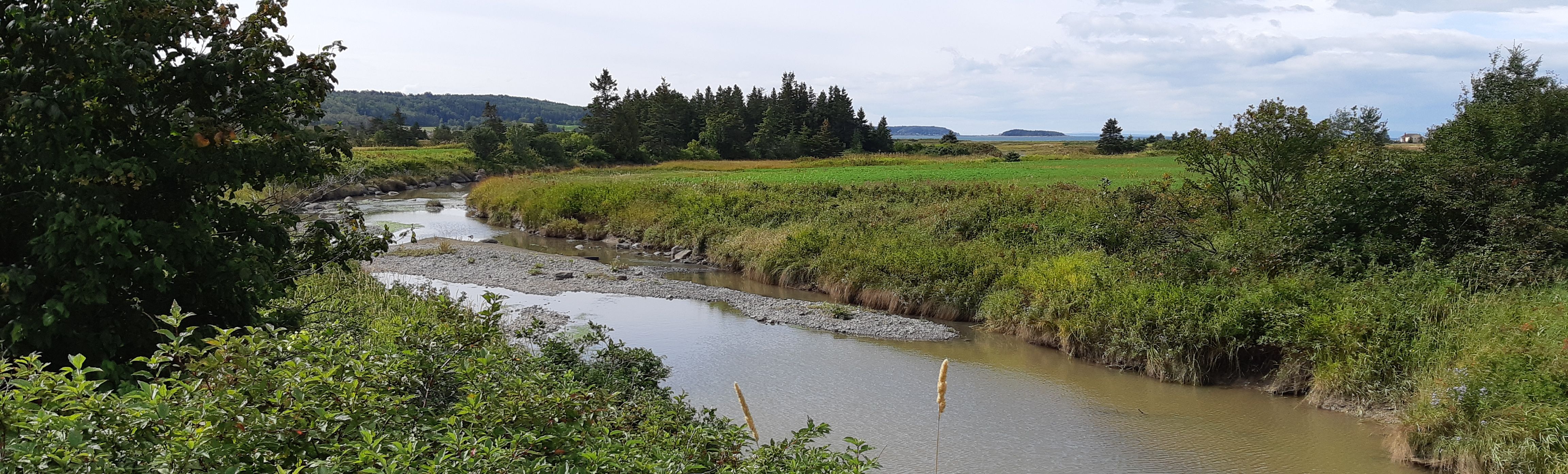 RIVIÈRE CENTRALE 2018-2022Mise en valeur de la biodiversité en milieu agricole dans le bassin versant de la rivière Centrale (FFQ) et Corridor de liberté et pratiques agricoles de conservation des sols et de l'eau (MAPAQ)