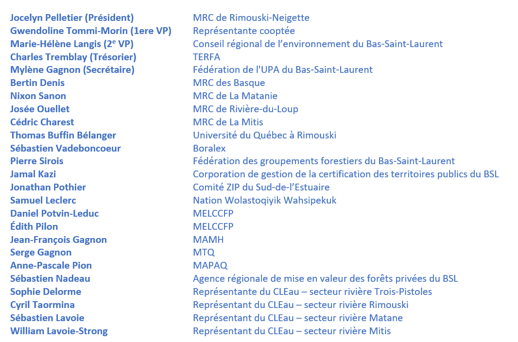 Membres de la table de concertation de l'OBVNEBSL