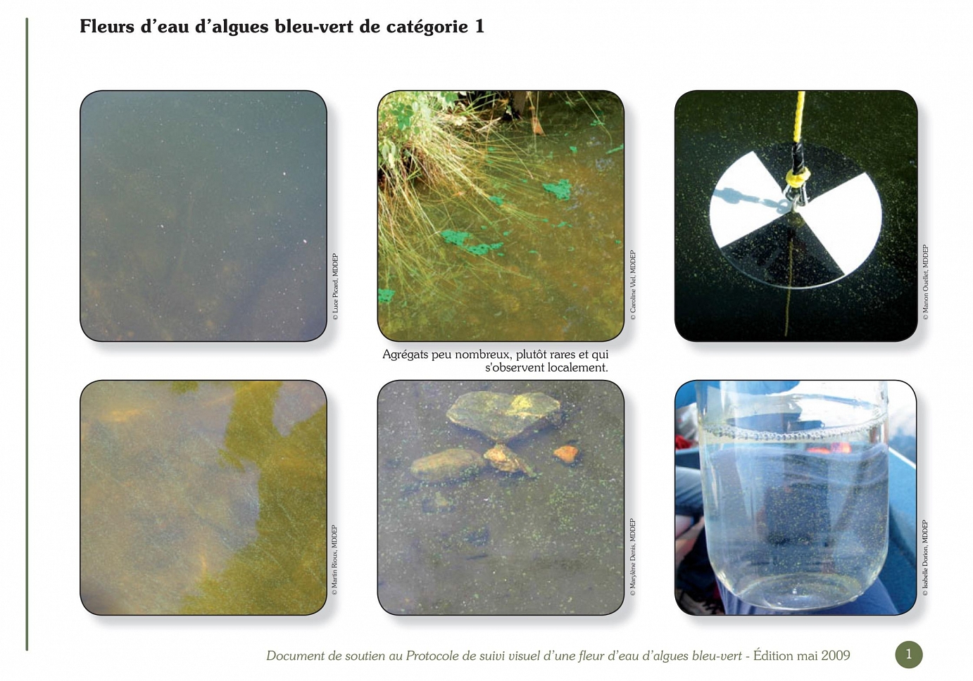 Ministère du Développement durable, de l’Environnement et des Parcs, Conseil régional de l’environnement des Laurentides, Document de soutien au Protocole de suivi visuel d’une fleur d’eau d’algues bleu-vert, Juillet 2008 (2e édition – mai 2009).